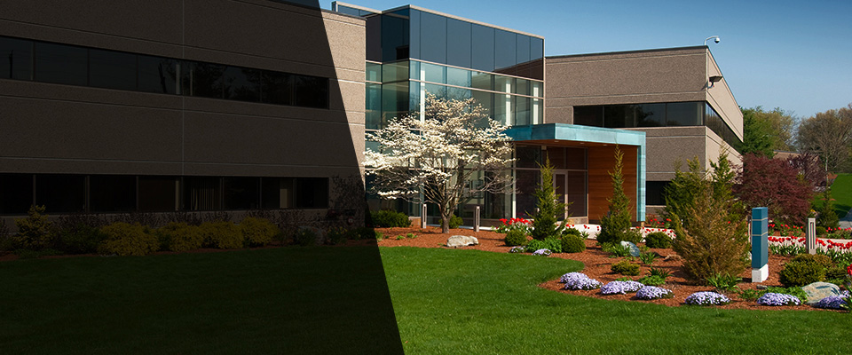 Davenport Landscapers
