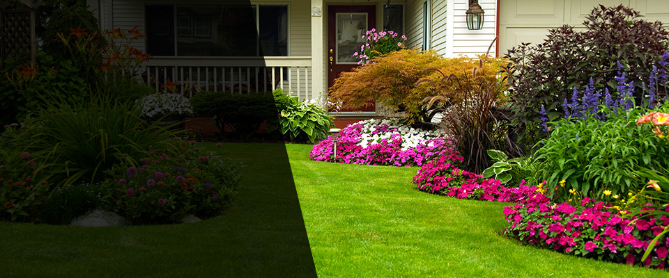 Davenport Landscapers