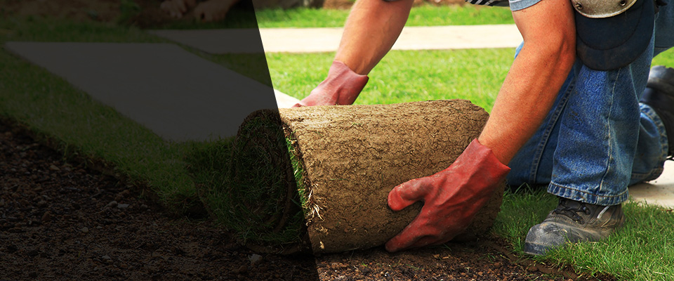 Davenport Landscapers